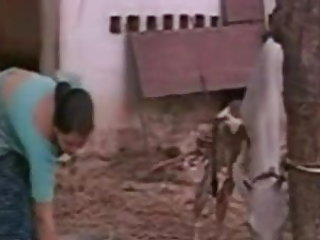 ड्रीम ग्रामीण सेक्सी वीडियो गर्ल हो जाता है क्रीमपाइ
