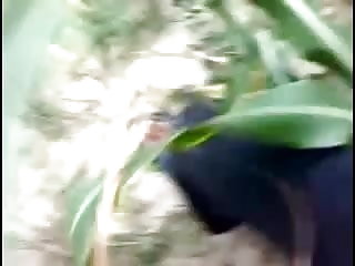बड़ा लेट के लिए कास वैनेसा पोर्न इन हिंदी लेन