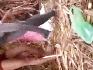 परिपक्व लेस्बियन सेक्सी x वीडियो के साथ